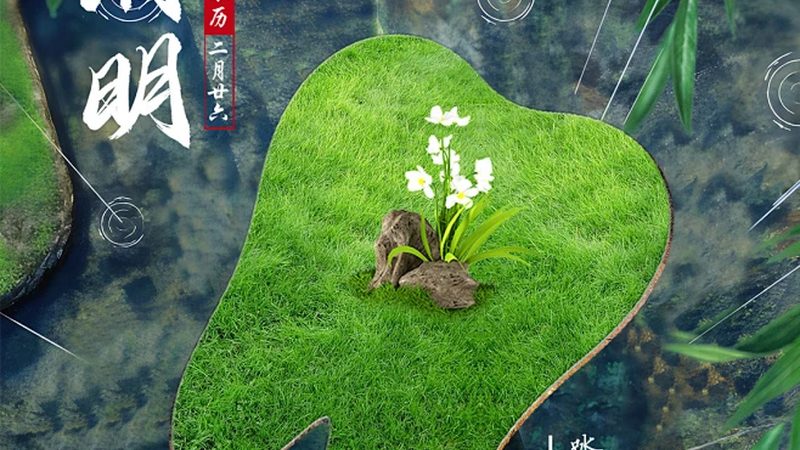 儿童矫牙费用落差大，钱到底差在哪